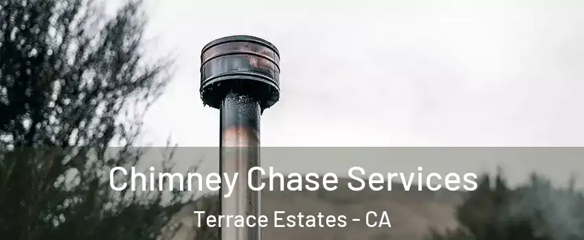 Chimney Chase Services Terrace Estates - CA