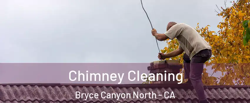 Chimney Cleaning Bryce Canyon North - CA