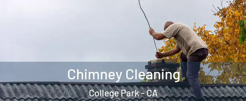 Chimney Cleaning College Park - CA