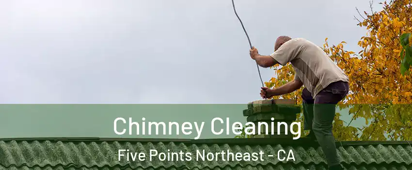 Chimney Cleaning Five Points Northeast - CA