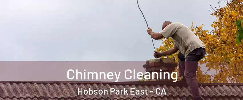 Chimney Cleaning Hobson Park East - CA