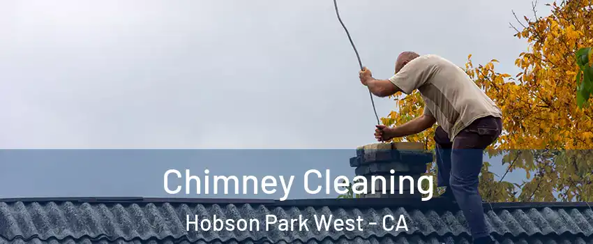 Chimney Cleaning Hobson Park West - CA