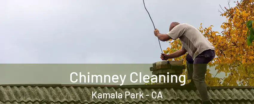 Chimney Cleaning Kamala Park - CA