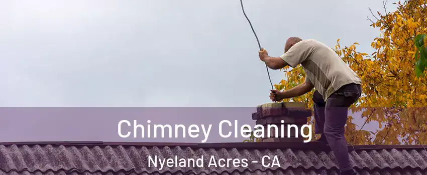 Chimney Cleaning Nyeland Acres - CA