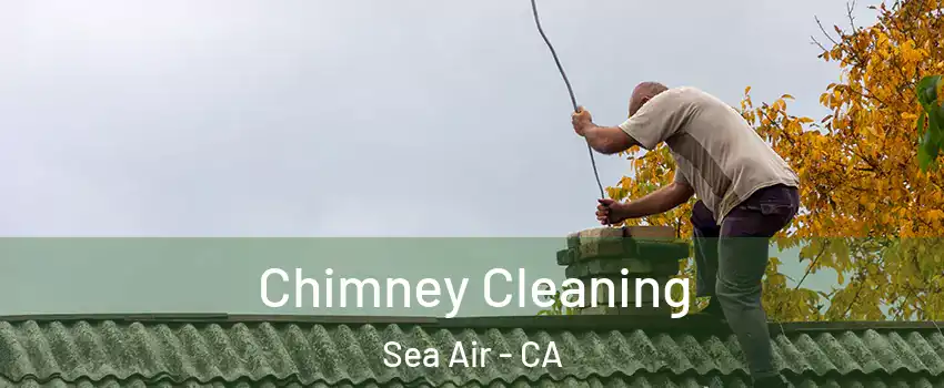 Chimney Cleaning Sea Air - CA