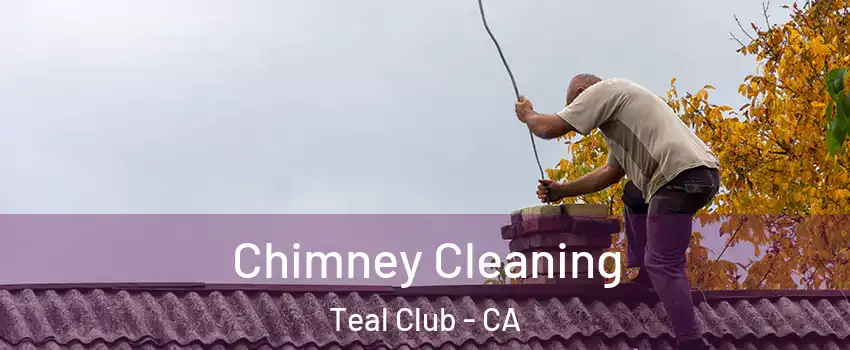 Chimney Cleaning Teal Club - CA