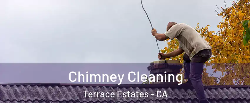 Chimney Cleaning Terrace Estates - CA