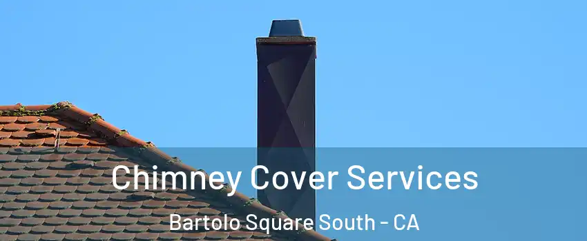 Chimney Cover Services Bartolo Square South - CA
