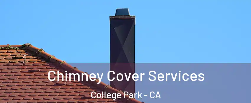 Chimney Cover Services College Park - CA
