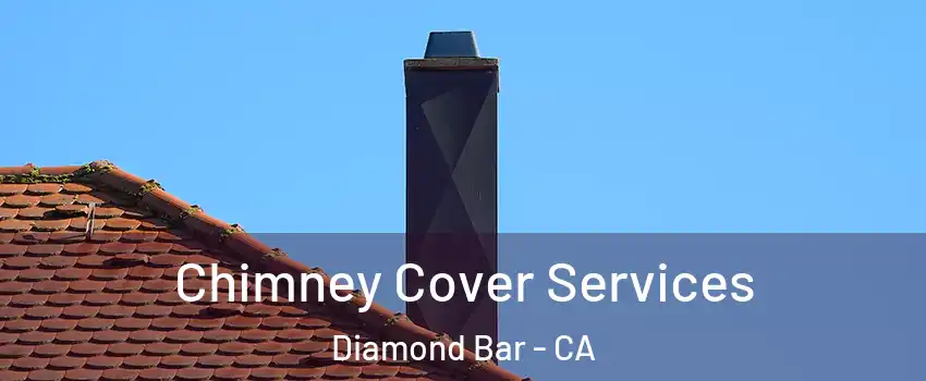 Chimney Cover Services Diamond Bar - CA