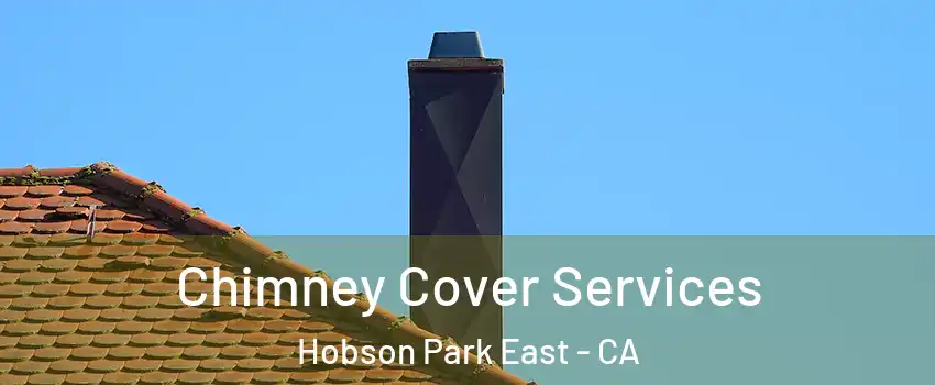 Chimney Cover Services Hobson Park East - CA