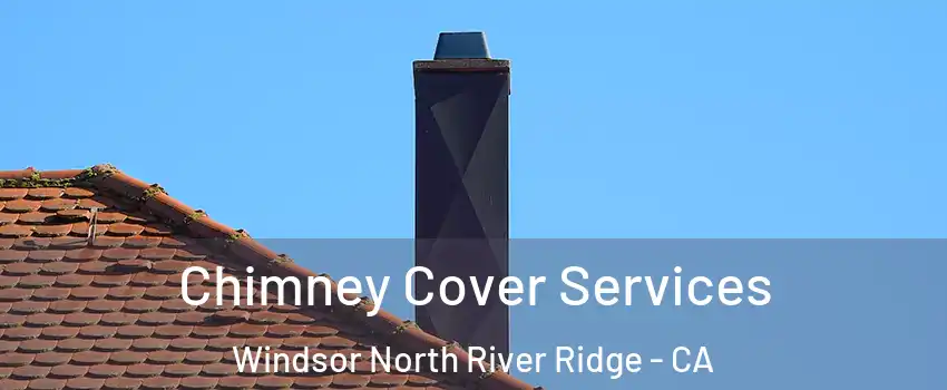 Chimney Cover Services Windsor North River Ridge - CA