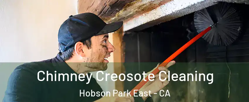 Chimney Creosote Cleaning Hobson Park East - CA