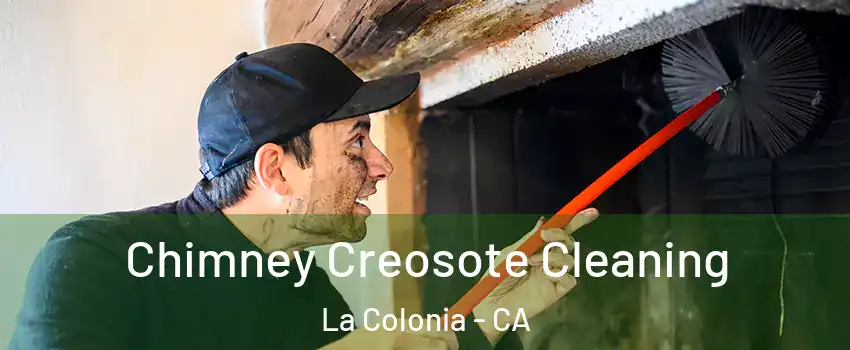 Chimney Creosote Cleaning La Colonia - CA