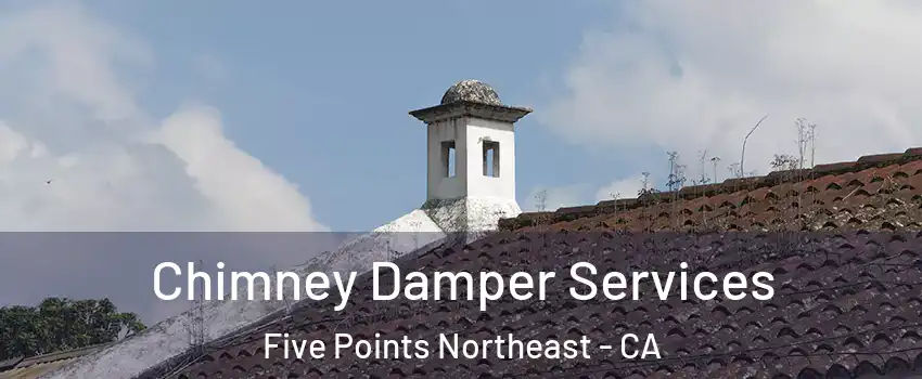 Chimney Damper Services Five Points Northeast - CA