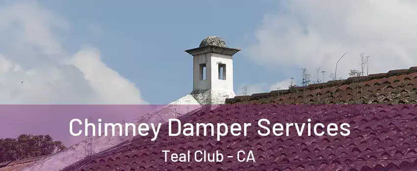 Chimney Damper Services Teal Club - CA