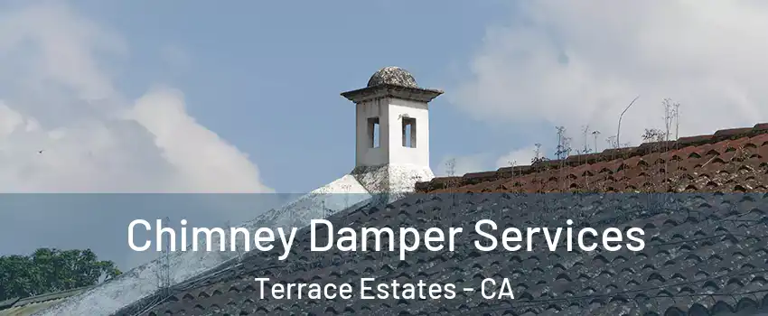Chimney Damper Services Terrace Estates - CA