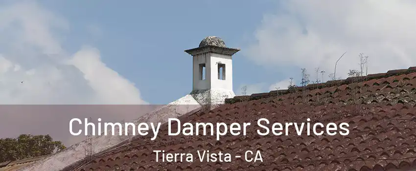 Chimney Damper Services Tierra Vista - CA