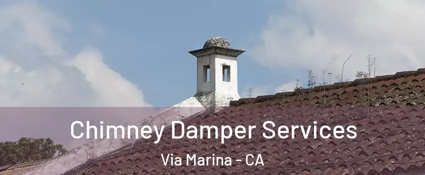 Chimney Damper Services Via Marina - CA