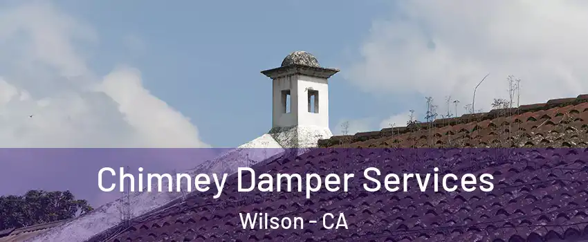 Chimney Damper Services Wilson - CA