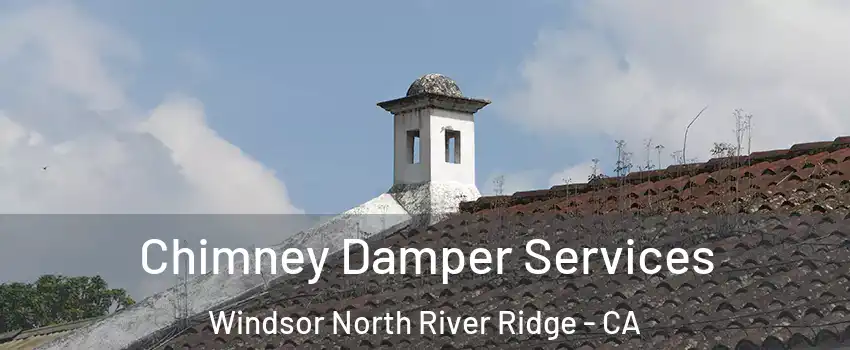 Chimney Damper Services Windsor North River Ridge - CA