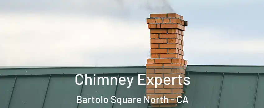 Chimney Experts Bartolo Square North - CA