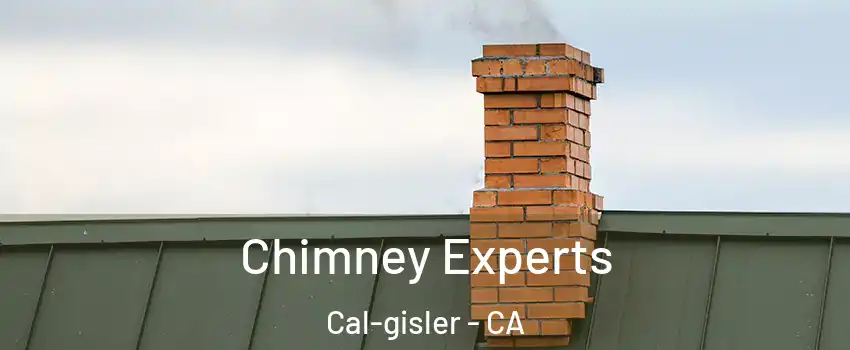 Chimney Experts Cal-gisler - CA