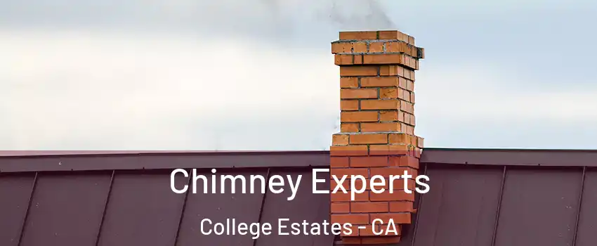 Chimney Experts College Estates - CA