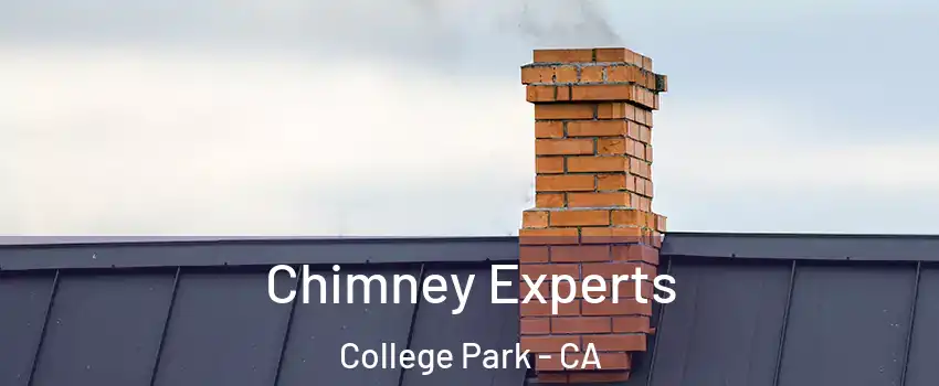 Chimney Experts College Park - CA
