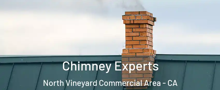 Chimney Experts North Vineyard Commercial Area - CA