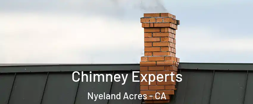Chimney Experts Nyeland Acres - CA