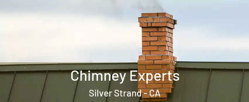Chimney Experts Silver Strand - CA