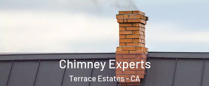 Chimney Experts Terrace Estates - CA