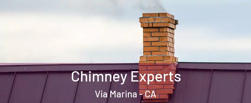 Chimney Experts Via Marina - CA