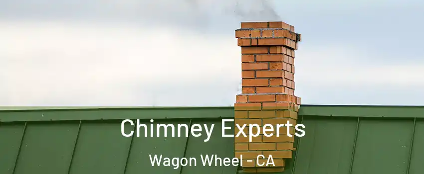 Chimney Experts Wagon Wheel - CA