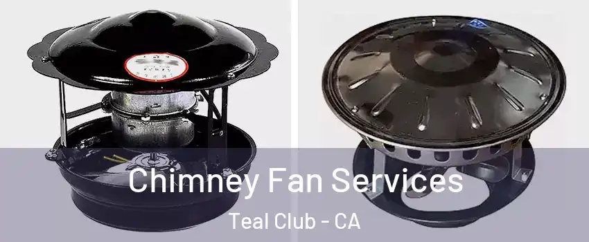 Chimney Fan Services Teal Club - CA
