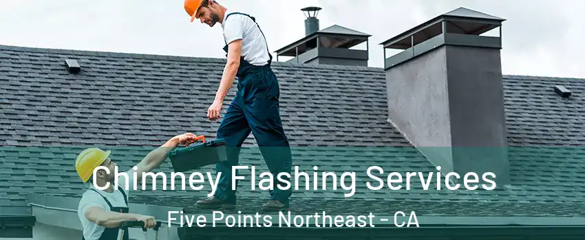 Chimney Flashing Services Five Points Northeast - CA