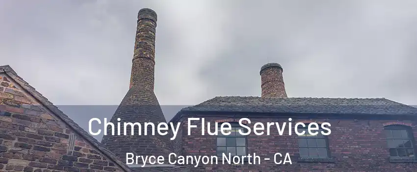 Chimney Flue Services Bryce Canyon North - CA