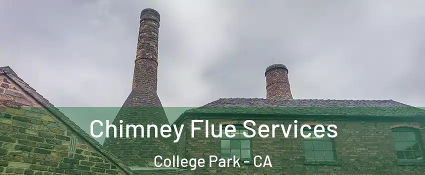 Chimney Flue Services College Park - CA