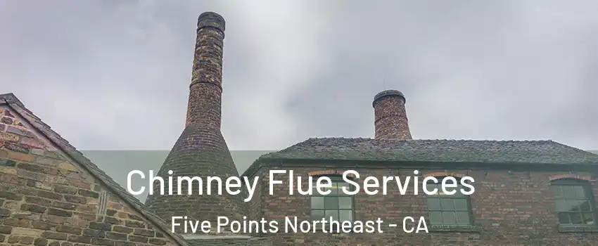 Chimney Flue Services Five Points Northeast - CA
