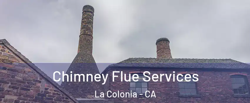 Chimney Flue Services La Colonia - CA