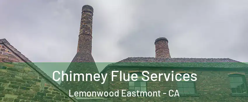 Chimney Flue Services Lemonwood Eastmont - CA