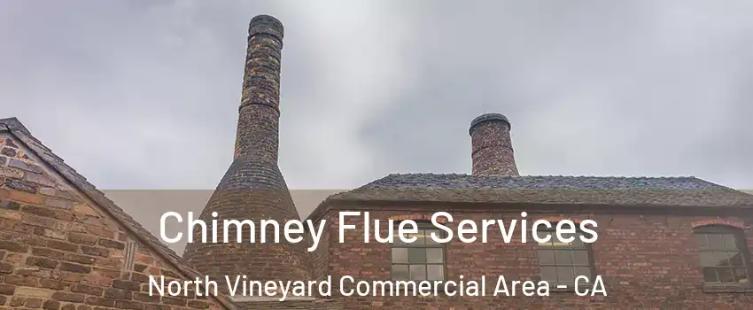 Chimney Flue Services North Vineyard Commercial Area - CA