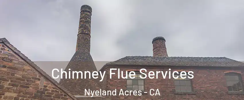 Chimney Flue Services Nyeland Acres - CA