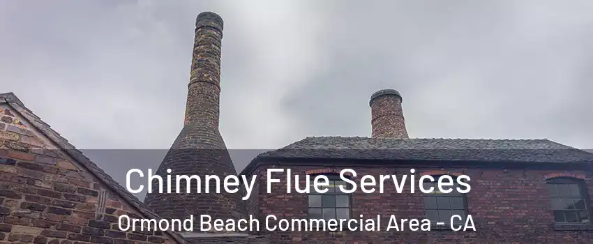 Chimney Flue Services Ormond Beach Commercial Area - CA