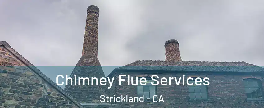 Chimney Flue Services Strickland - CA