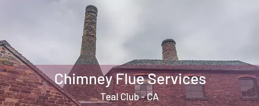 Chimney Flue Services Teal Club - CA