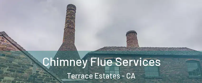 Chimney Flue Services Terrace Estates - CA