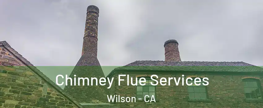 Chimney Flue Services Wilson - CA