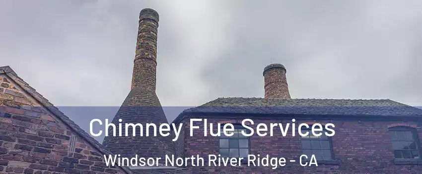 Chimney Flue Services Windsor North River Ridge - CA
